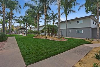 Lush green outdoor spaces