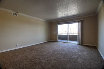 Spacious living room
