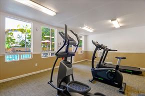 Menlo Park apartment for rent - A room with exercise equipment and windows.