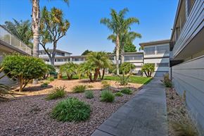 Menlo Park apartment for rent - A residential area with a gravel path and palm trees.