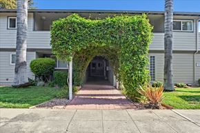 Menlo Park apartment for rent - A green vine is growing on a white wall.