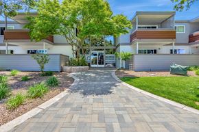 Sunnyvale apartment for rent - A modern building with a tree in front of it.
