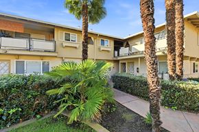 Sunnyvale apartment for rent - A palm tree stands in front of a building.