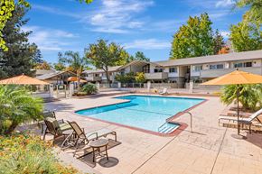 Sunnyvale apartment for rent - A pool surrounded by chairs and umbrellas with apartment buildings in the background.