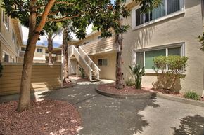 Sunnyvale apartment for rent - the pathway to the entrance of a building with trees and a staircase