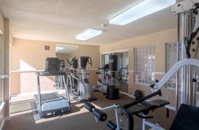Palo Alto apartment for rent - a gym with weights and cardio equipment at the village