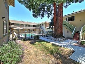 Menlo Park apartment for rent - A tree in a yard with a building in the background.