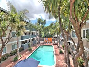 San Mateo apartment for rent - an apartment with a swimming pool and palm trees