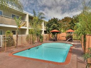 Sunnyvale apartment for rent - A swimming pool surrounded by a fence and trees.