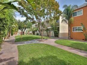 Sunnyvale apartment for rent - A tree in a grassy area in front of a building.