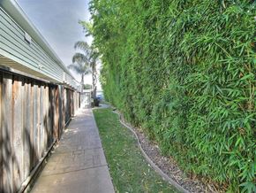 Sunnyvale apartment for rent - A narrow walkway with a wooden fence on one side and a green hedge on the other.