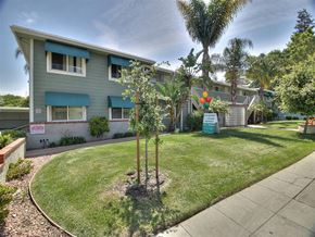 Sunnyvale apartment for rent - A building with a blue awning and a tree in front of it.