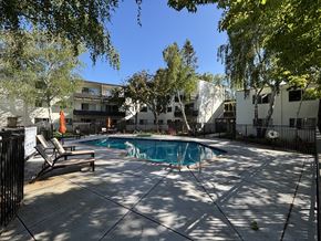 Palo Alto apartment for rent - A pool surrounded by trees and chairs.