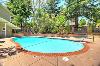 Mini swimming pool and relaxing area