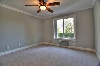 Ceiling fan and light with window