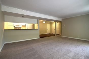 Living room area