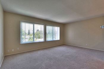 Big window 