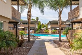 Los Altos apartment for rent - A pool surrounded by palm trees and a concrete walkway.