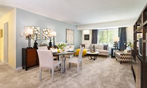 Framingham apartment for rent - Living/Dining Room