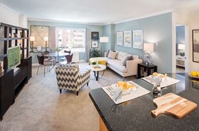 Framingham apartment for rent - Berkeley style living/dining room