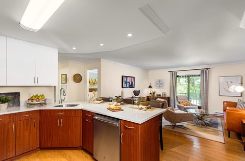 Floor plan for 2 beds, 1 bath, 1101 sqft