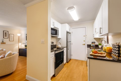 Floor plan for 2 beds, 1 bath, 800 sqft