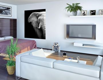 Eau Claire apartment for rent - A living room with a white couch and a large elephant picture on the wall.