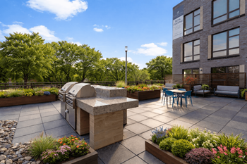 Rooftop grills