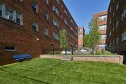 Washington apartment for rent - the yard of a building with a green lawn and a blue bench