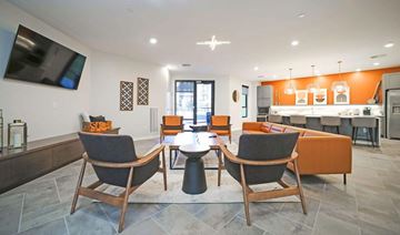 Virginia Beach apartment for rent - A modern living room with a grey sofa and wooden chairs.