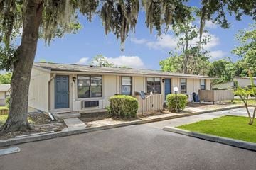 Deland apartment for rent - A tree with Spanish moss hanging from it's branches.