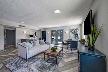Arvada apartment for rent - A living room with a white couch and a blue rug.