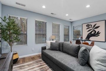 Durham apartment for rent - A living room with a grey couch and a tree.