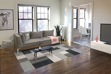 Chicago apartment for rent - A living room with a grey couch and a black and white checkered rug.