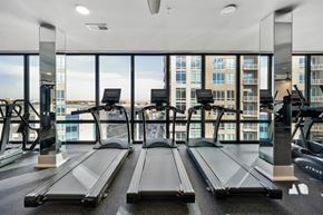 Tampa apartment for rent - A gym with treadmills and a view of the city.