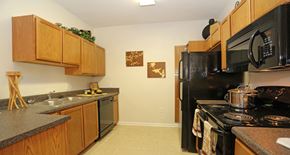 New Port Richey apartment for rent - Charming kitchen with oak cabinetry and black appliances at The Columns at Bear Creek, New Port Richey, FL 34654