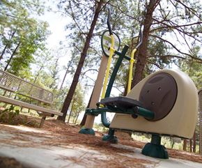 Tyler apartment for rent - A playground seesaw in a park with trees in the background.