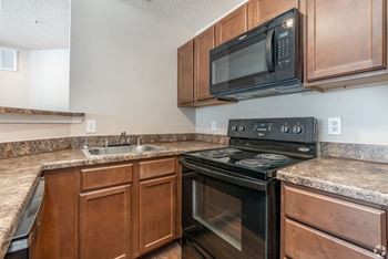 Black energy efficient appliances