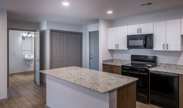 Fort Worth apartment for rent - A kitchen with a granite countertop and a black microwave above it.