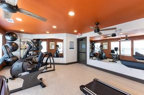 Arlington apartment for rent - A gym with a treadmill, exercise bike, and mirrors.
