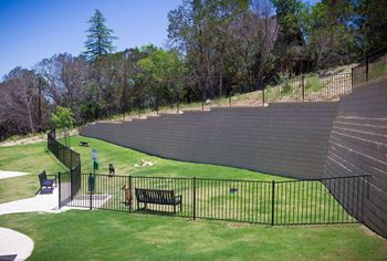 Dog park