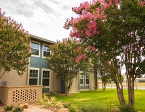 Denton apartment for rent - A house with a blue door and windows is surrounded by greenery and pink flowers.