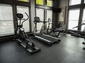 Denton apartment for rent - A gym with treadmills, elliptical machines, and other exercise equipment.