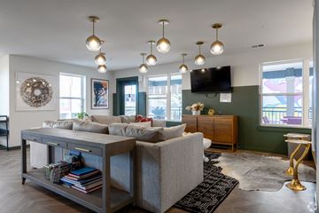 Austin apartment for rent - A living room with a grey sofa and a coffee table.