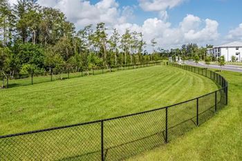 Dog park