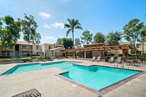 Westminster apartment for rent - our apartments have a swimming pool and a patio with chairs