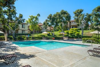 Swimming pool and spa