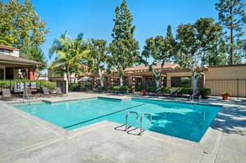 Swimming pool and spa