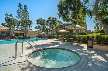 Swimming pool and spa