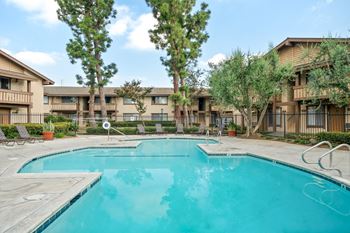 Swimming pool and spa